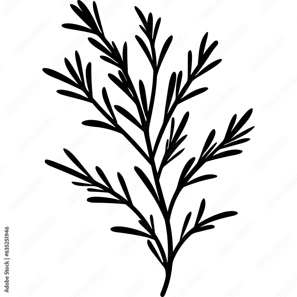 Naklejka premium Rosemary plant seasoning herb black silhouette