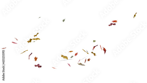 Falling and spinning autumn leaves. autumn season concept