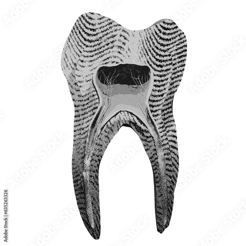 Teeth sketch. Hand drawn human tooth. Dentist graphic template. Engraving fangs and molars. Dental oral care. Toothache treatment.