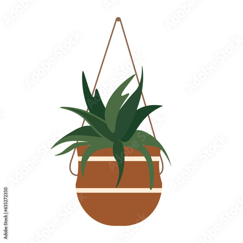 House plant in hanging pot, cartoon style vector illustration
