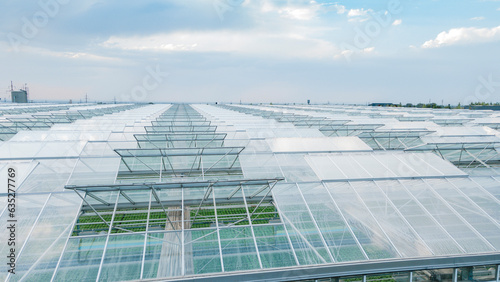 Greenhouse roof with open windows for ventilation