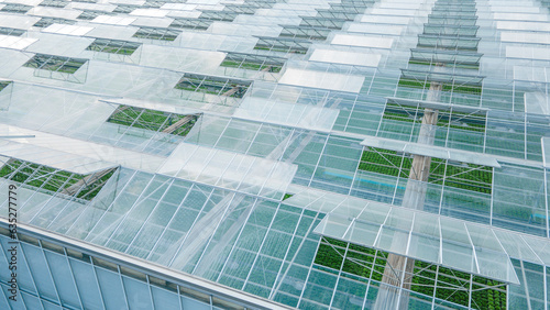 Upper greenhouse with open windows