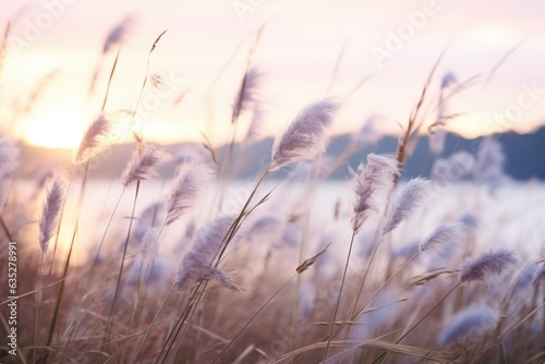 Whispering Morning Hues: Soft Gradient Transitioning from Lavender to Gentle Baby Blue 