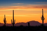 Golden Sands at Dusk: Capturing the Desert's Beauty with Cacti Silhouettes and Fading Sunset
