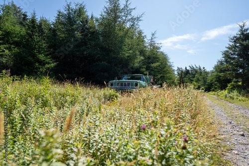 Green Truck in the Grass enjoying retirement