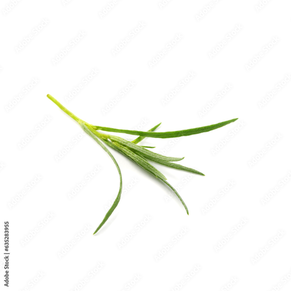 Fototapeta premium One sprig of fresh tarragon on white background