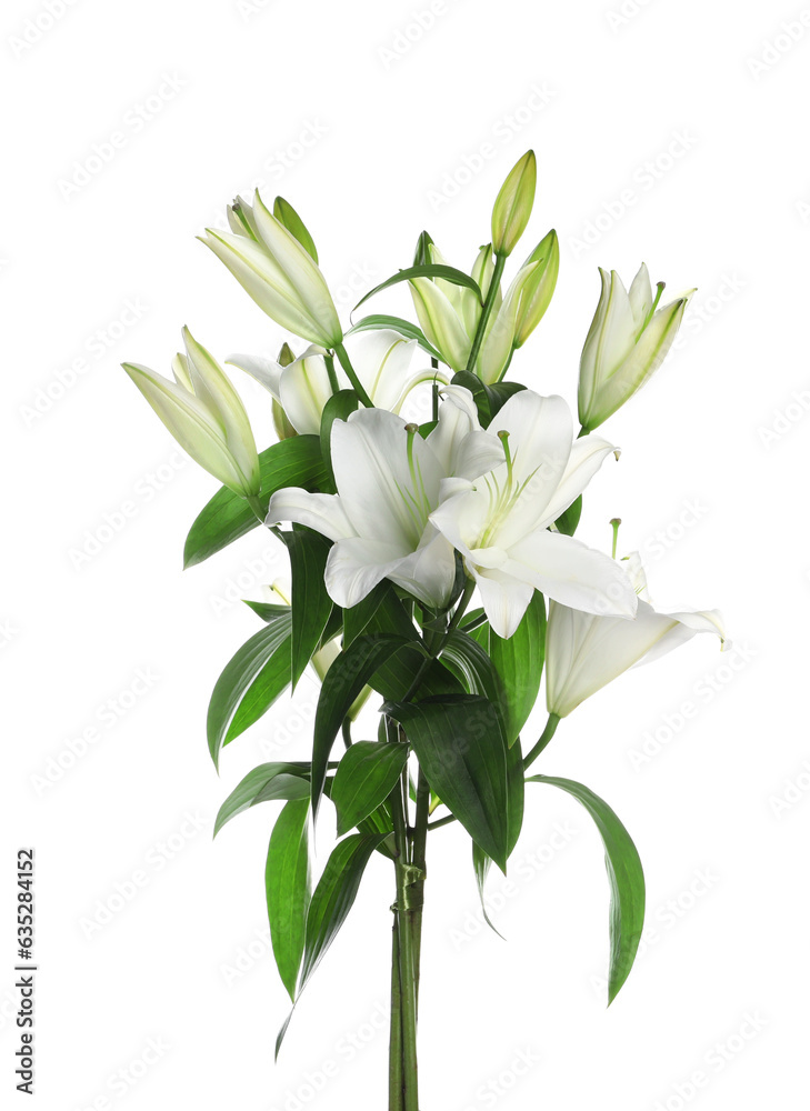 Beautiful bouquet of lily flowers isolated on white