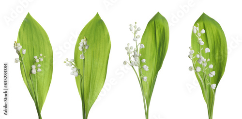 Set of beautiful lily of the valley flowers with green leaves on white background
