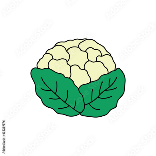 Kids drawing Cartoon Vector illustration cauliflower icon Isolated on White Background