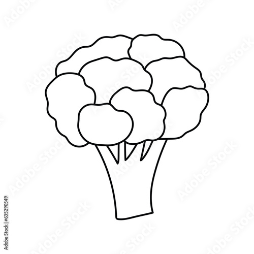 Hand drawn Kids drawing Cartoon Vector illustration brocoli icon Isolated on White Background