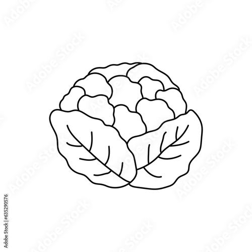 Hand drawn Kids drawing Cartoon Vector illustration cauliflower icon Isolated on White Background