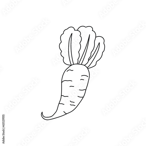 Hand drawn Kids drawing Cartoon Vector illustration radish icon Isolated on White Background