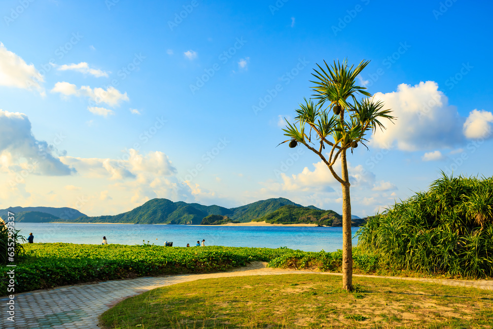 美しい阿真ビーチの白い砂浜と青い海、空の風景
沖縄県島尻郡慶良間諸島座間味島阿真ビーチ

