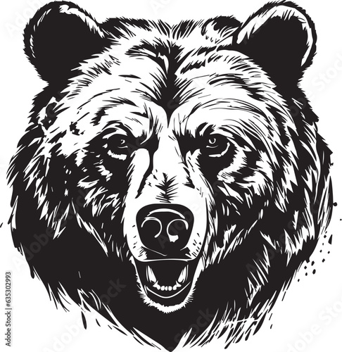 Bear Grizzly Angry Head Animal 