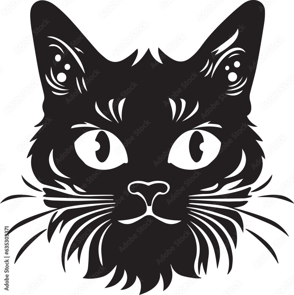 Fototapeta premium Cat Kitten Baby Pet Animal