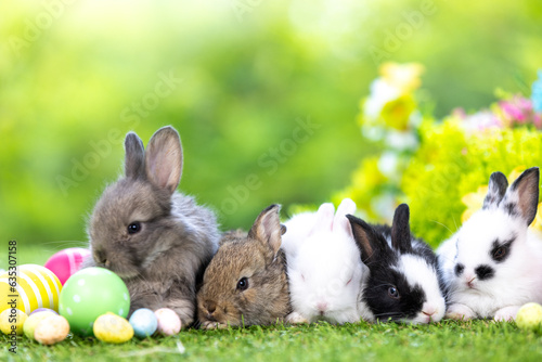 Lovely bunny easter fluffy baby rabbit with a basket full of colorful flowers and easter eggs on green garden nature background on warming spring day. Symbol of easter day festival. Rabbit in summer.
