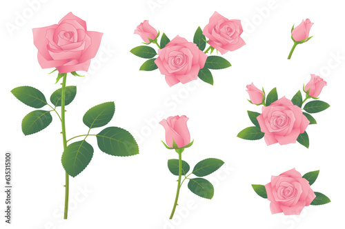 ピンクのバラの花　つぼみから開花　イラストセット photo