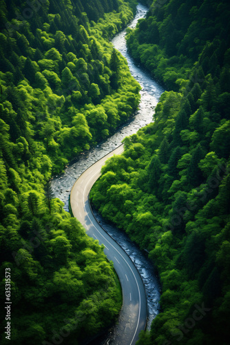 Drive into the embrace of nature with an aerial perspective of a road snaking through a verdant, lush forest