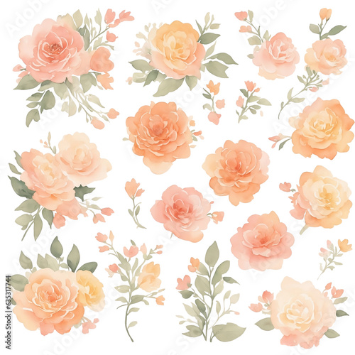 Peach roses pattern background