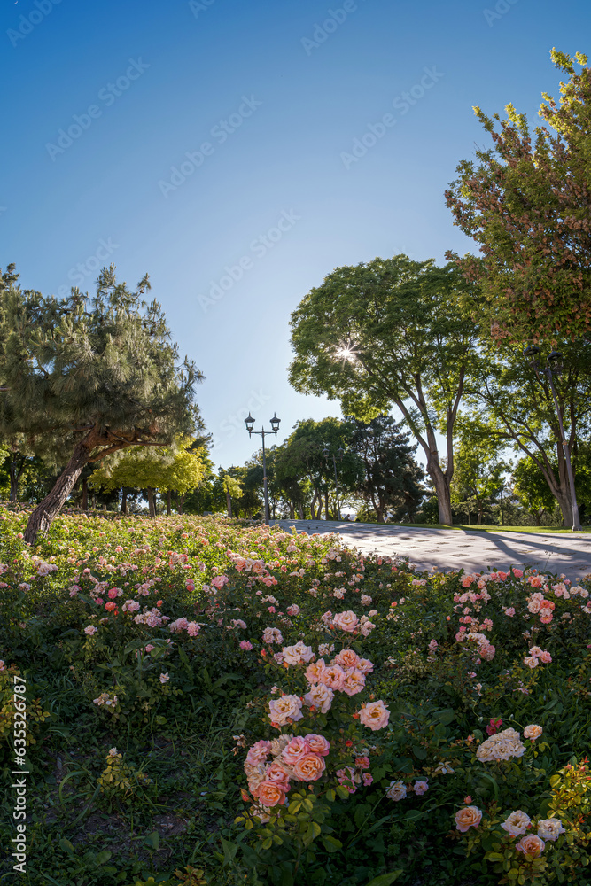 Public park with flowers field and green fresh tree plant perspective to copy space for multipurpose vertical form.