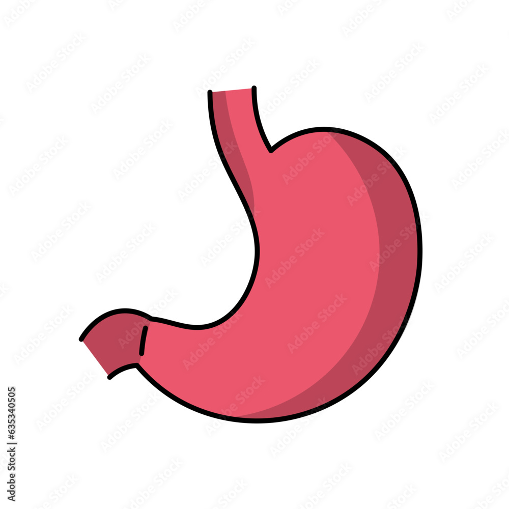 Stomach Illustration - Human Body Organ Stomach Illustration - Human Body Organ