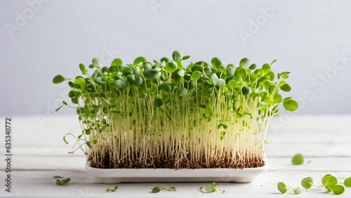 Microgreens sprouts - healthy and fresh food, Generated with AI