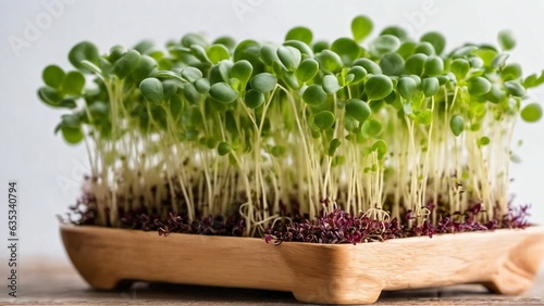 Microgreens sprouts - healthy and fresh food, Generated with AI