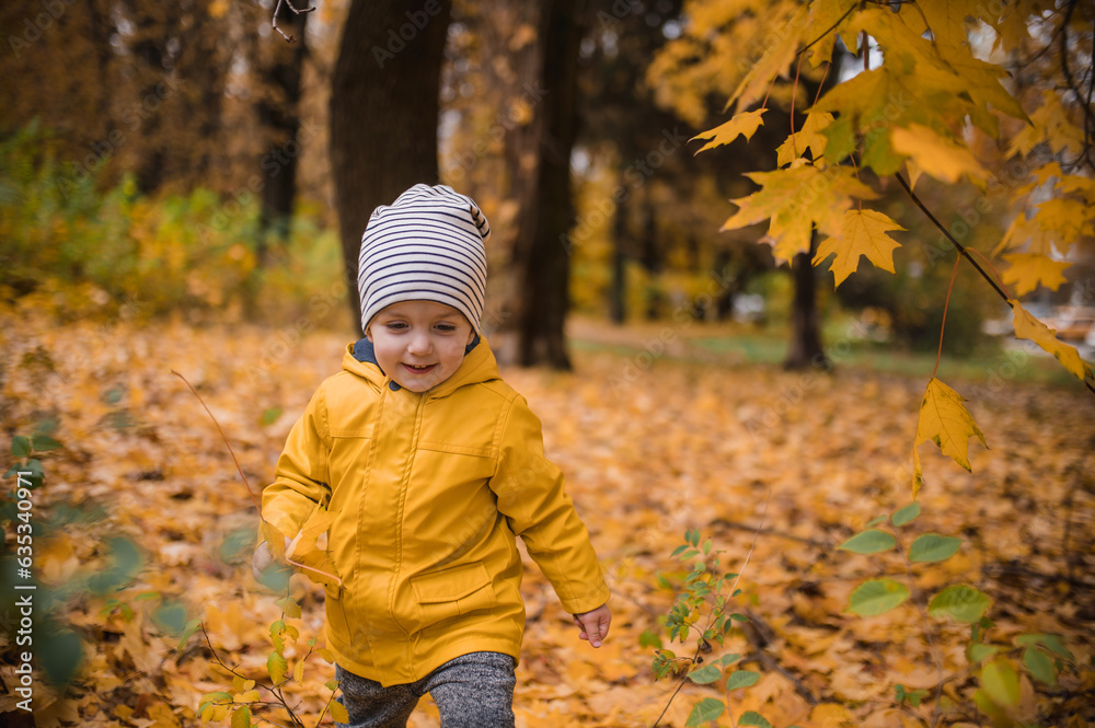 A little boy in a yellow raincoat plays and walks in the autumn forest among maple trees. Autumn mood, rainy weather. leaf fall A little boy in a yellow raincoat plays and walks in the autumn forest among maple trees. Autumn mood, rainy weather. leaf fall