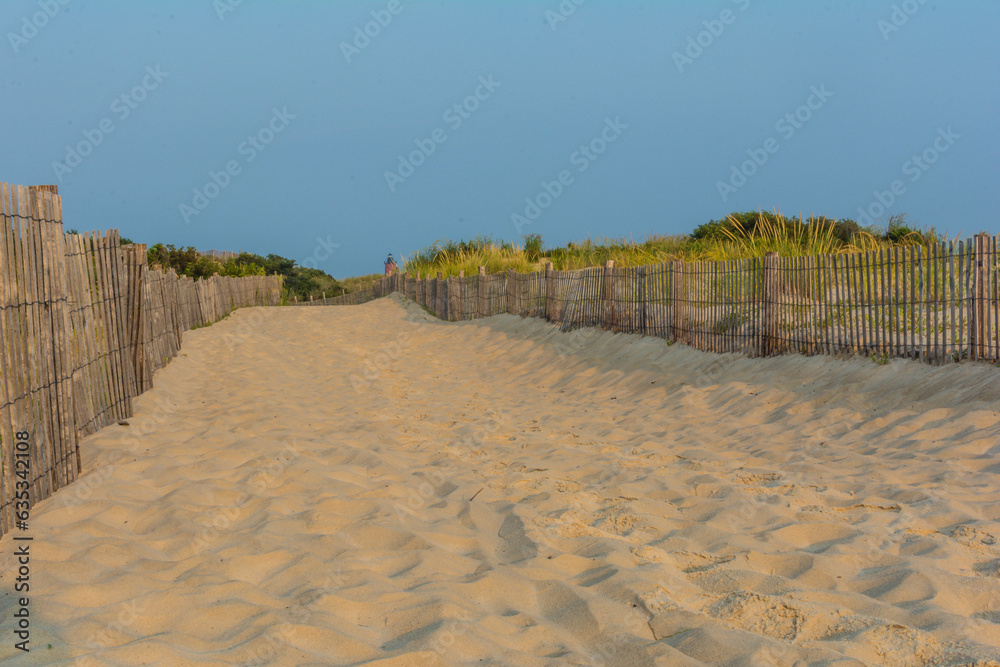 Sand dunes at Cape Henelopen State Park in Delaware.