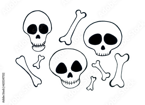 A set of different bones and three different skulls. They are drawn with a black outline. Isolated on white background. All are stylized in different ways. Funny and cute images for Halloween. © Lesia