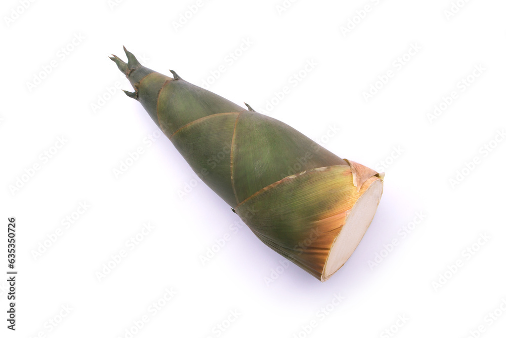 Fototapeta premium Bamboo shoot isolated on white background , top view , flat lay.