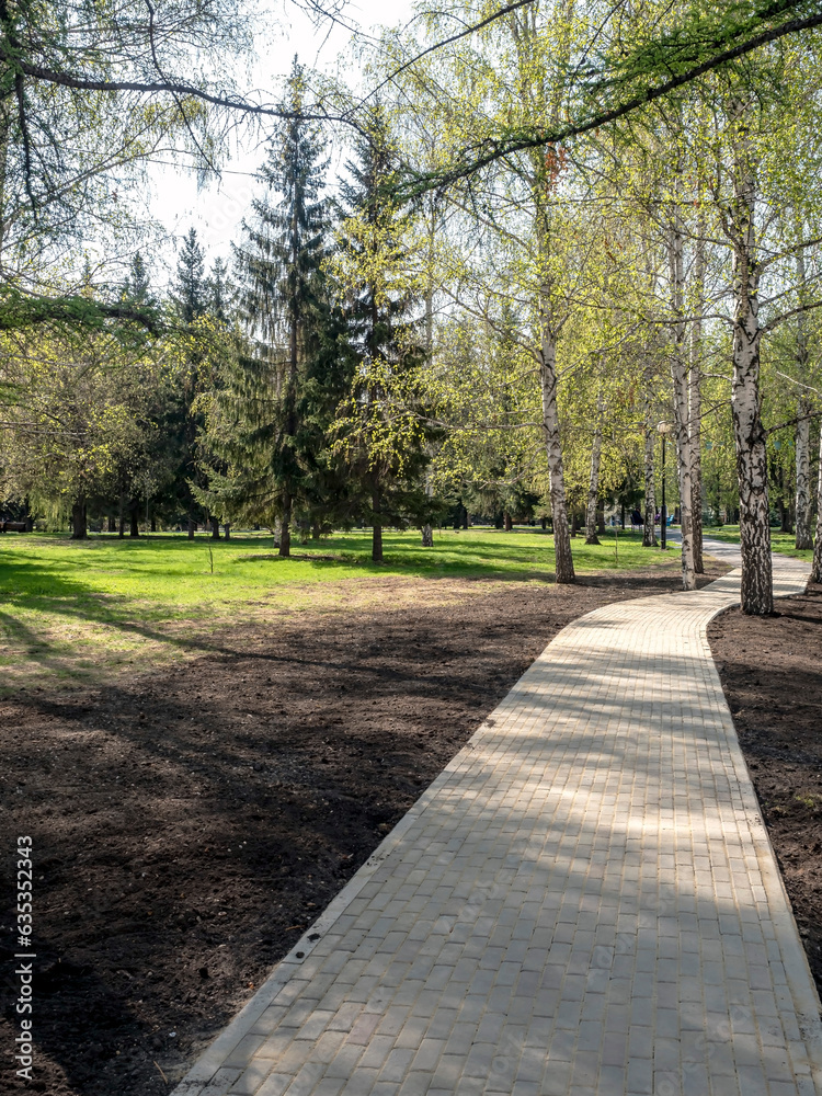 pedestrian path in the city park in the early spring morning