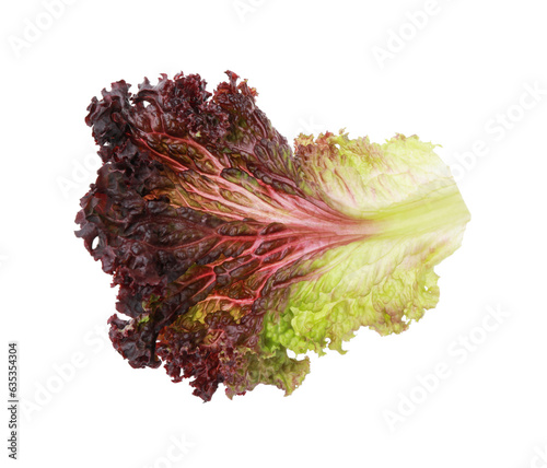 Leaf of fresh red coral lettuce isolated on white photo