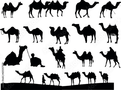 black and white silhouettes of camels in various poses and positions. Some camels are standing, some are walking, and some have riders on their backs. scientific name of camel is Camelus dromedarius photo