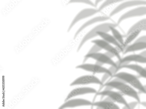 植物の葉の影が白い壁に映る背景