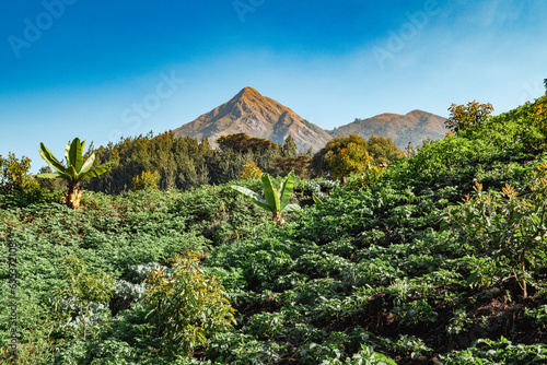 Scenic view of Mbeya Peak in Mbeya Mountain range in Mbeya Region, Tanzania photo