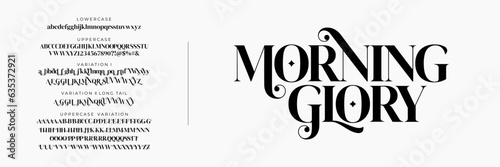 Elegant Font Uppercase Lowercase and Number. Classic Lettering Minimal Fashion Designs. Typography modern serif fonts regular decorative vintage concept. vector illustration
