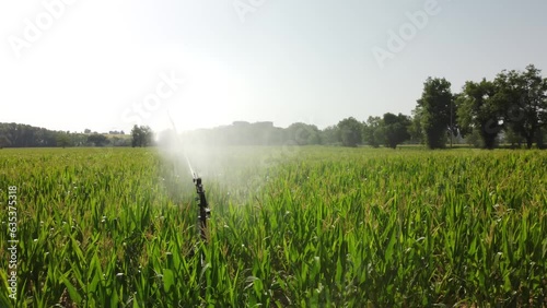 Irrigazione in agricoltura photo
