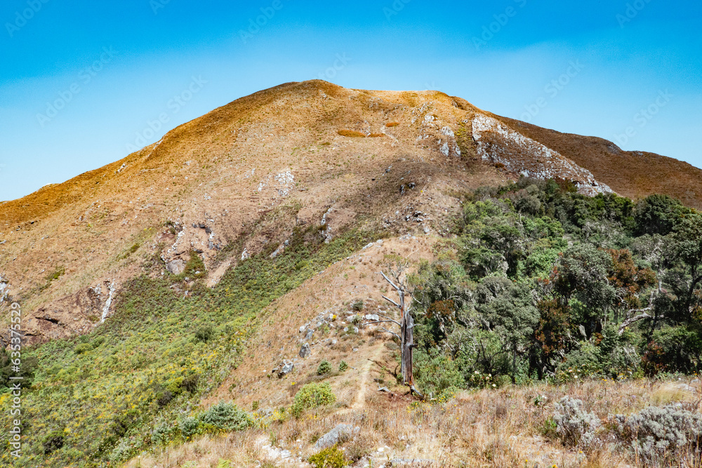 Scenic view of Mbeya Peak in Mbeya Mountain range in Mbeya Region, Tanzania