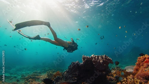 Woman freediver on reef. Young female freediver swims underwater and explores the healthy coral reef on the island of Nusa Penida in Bali, Indonesia