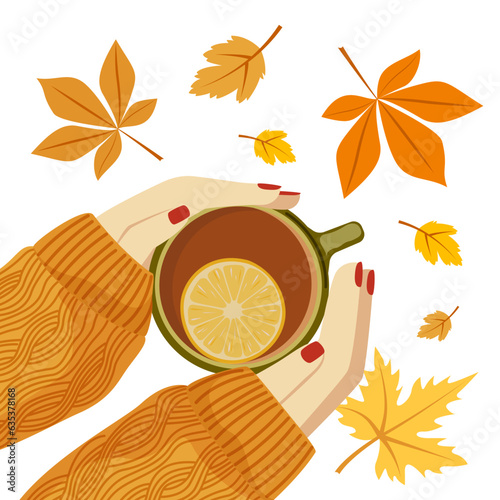 Vector autumn illustration of female hands in a sweater holding a hot cup of tea with lemons. The concept of autumn mood, comfort, warmth. Image for print, postcard, banner.