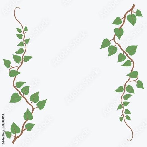 Fotografia Floral ivy drawing decorative ornament flat design.
