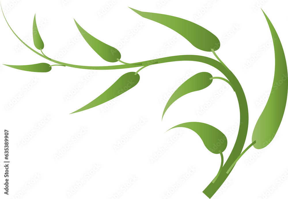 leaf foliage plant botanical for decorative abstract background