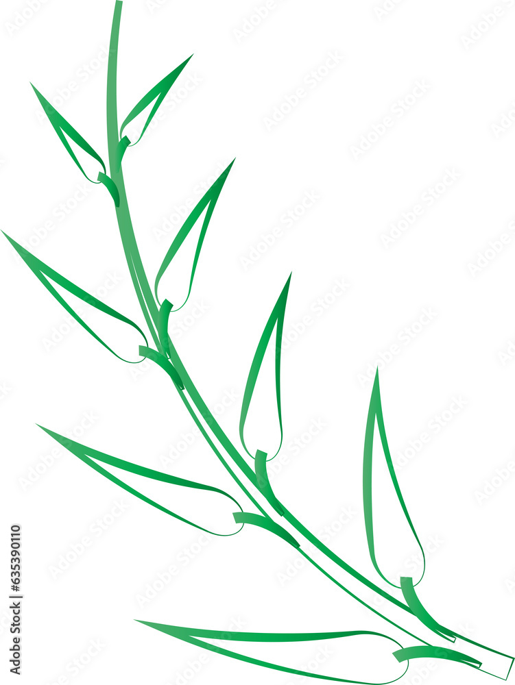 Fototapeta premium leaf foliage plant botanical for decorative abstract background