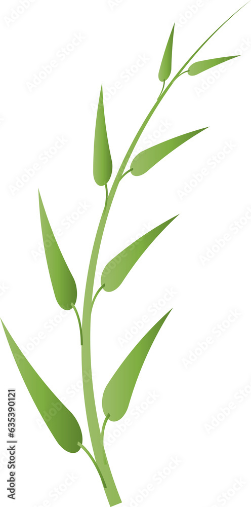 Fototapeta premium leaf foliage plant botanical for decorative abstract background