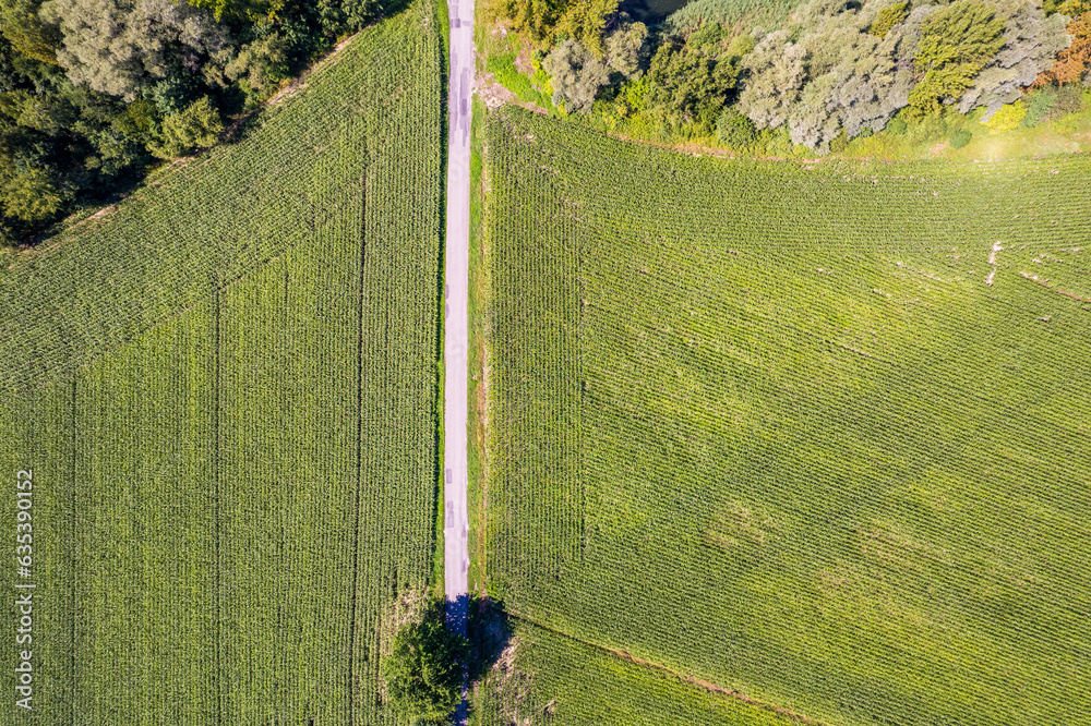 Tereny zielone na Śląsku w Polsce, panorama z lotu ptaka. Kraina Górnej Odry.