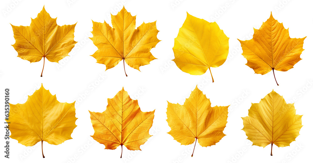 Obraz premium isolated illustrations of autumn leaves. Created with Generative AI