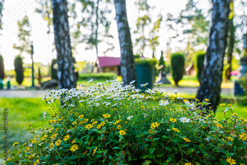Park z drzewami liściastymi, pięknymi trawnikami, klombami kolorowych kwiatów i alejkami. Lato na Śląsku w Polsce, Rogów gmina Gorzyce.