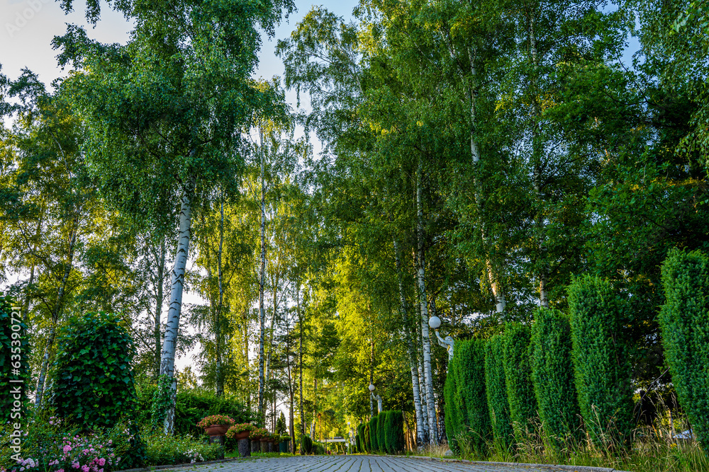 Park z drzewami liściastymi, pięknymi trawnikami, klombami kolorowych kwiatów i alejkami. Lato na Śląsku w Polsce, Rogów gmina Gorzyce.