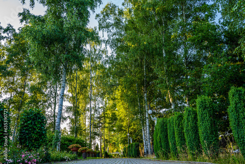 Obraz na płótnie Park z drzewami liściastymi, pięknymi trawnikami, klombami kolorowych kwiatów i alejkami. Lato na Śląsku w Polsce, Rogów gmina Gorzyce. w salonie